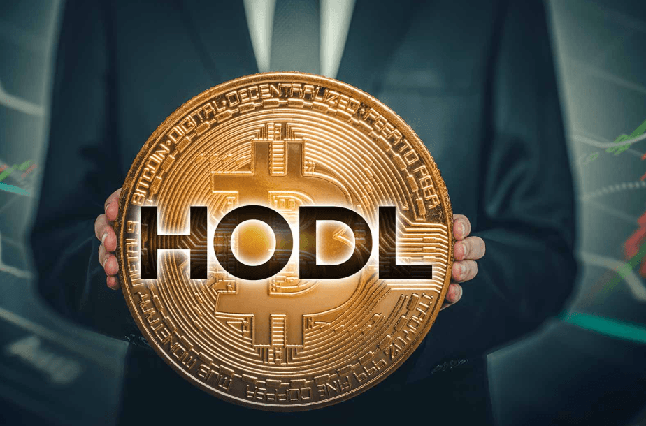 Long-Term Holding Strategies